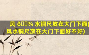 风 🌾 水铜尺放在大门下面(风水铜尺放在大门下面好不好)